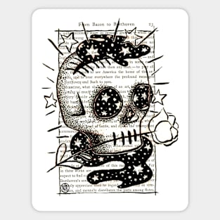 Skull Magnet